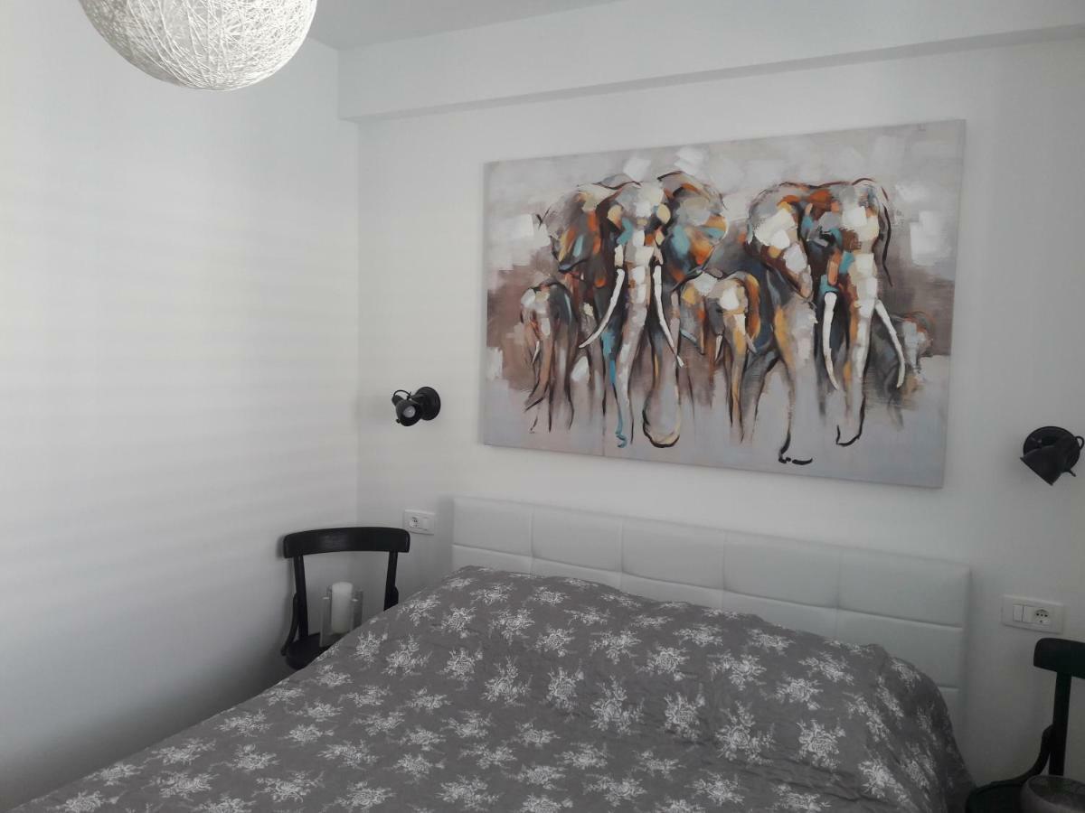 Apartment Tea 2 Primošten Dış mekan fotoğraf